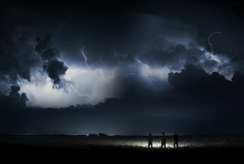 Cryptic Whisper Image